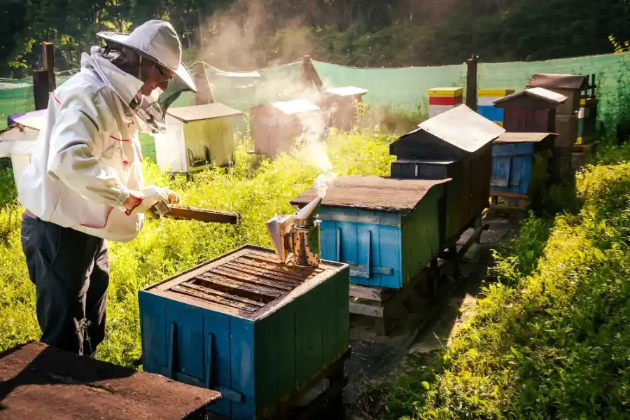 Pasieka u Kazika_097